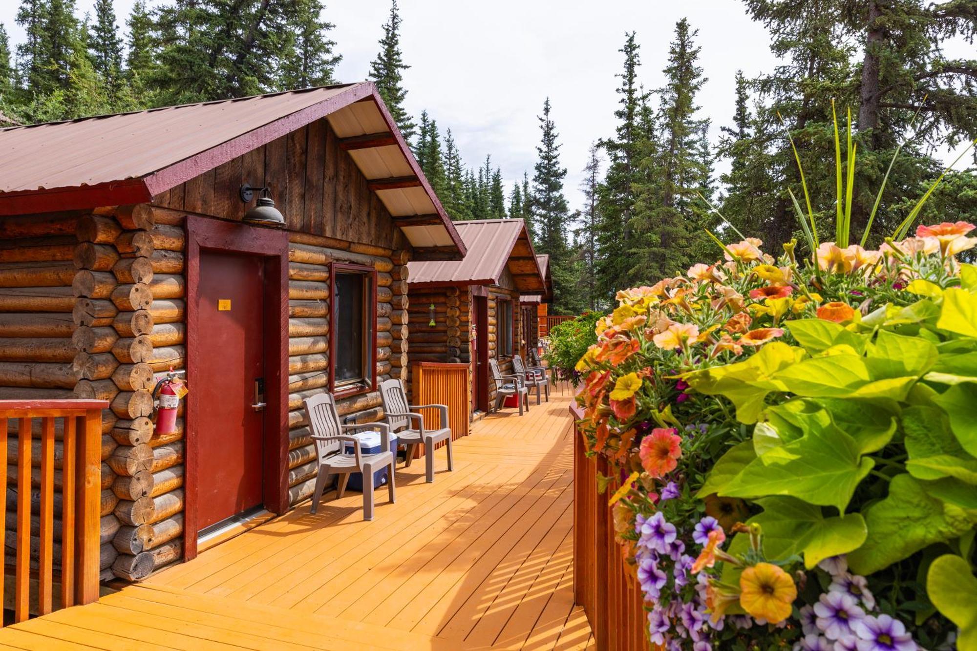 Denali Crow'S Nest Cabins Denali Park Εξωτερικό φωτογραφία