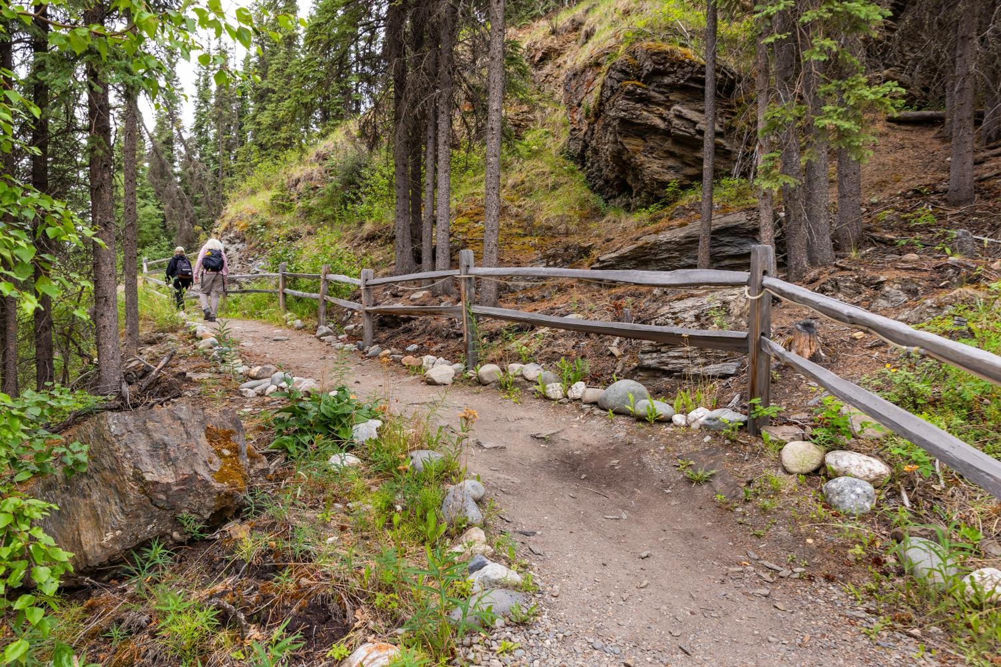 Denali Crow'S Nest Cabins Denali Park Εξωτερικό φωτογραφία