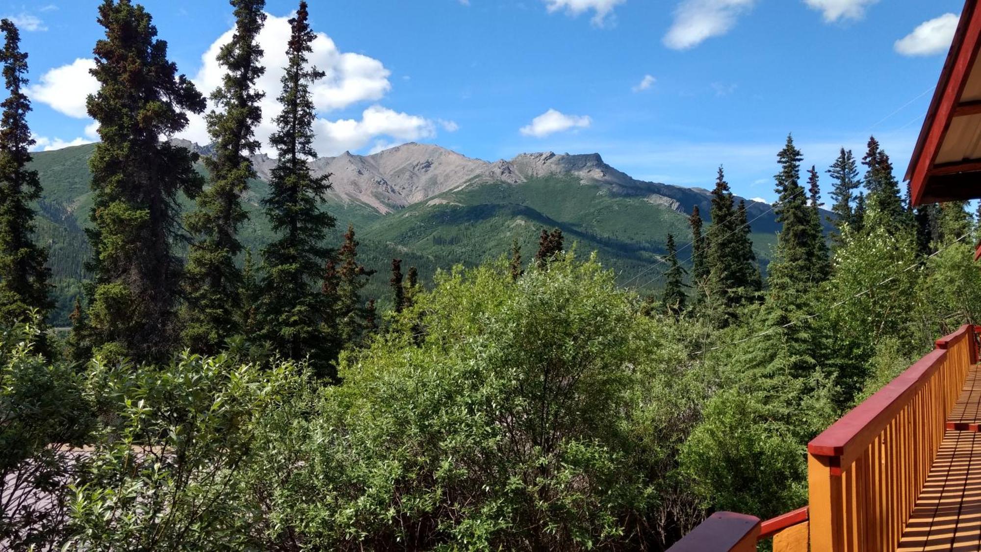 Denali Crow'S Nest Cabins Denali Park Εξωτερικό φωτογραφία