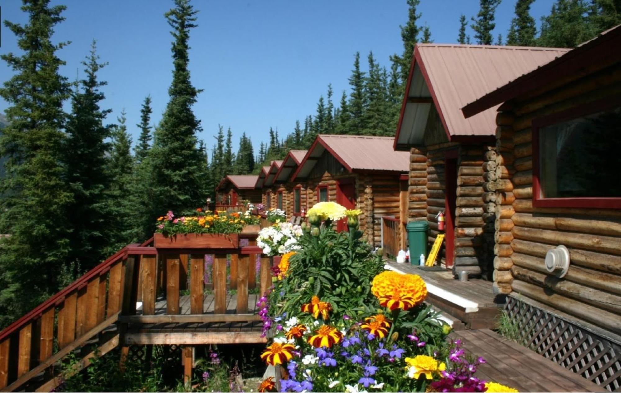 Denali Crow'S Nest Cabins Denali Park Εξωτερικό φωτογραφία